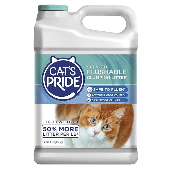 CAT’S PRIDE LIGHTWEIGHT CLUMPING LITTER: FLUSHABLE – POWERFUL ODOR CONTROL – SCENTED, 10 POUNDS