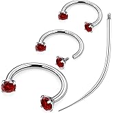 Ruifan ASTM F136 Titanium Horseshoe Nose Ring 16G Cubic Zircon Septum Rings Piercing Jewelry Internally Threaded Cartilage Conch Helix Rook Tragus Lip Earring Hoop Eyebrow For Women Men 8mm 10mm 12mm