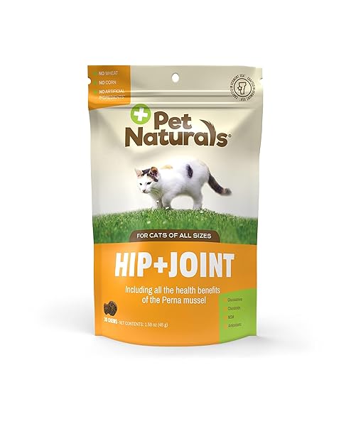 PET NATURALS HIP AND JOINT SUPPORT SUPPLEMENT FOR...