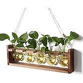 Plant Terrarium Hanging Propagation Stations Gift for Women Air Plants Holder with Wooden Stand Heart Glass
