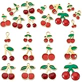 Pandahall 12Pcs Stainless Steel Cherry Charms Enamel Red Cute Cherry Pendants Metal Flatback Mini Fruit Dangle Charms for Keychains Earrings Bracelets Necklaces Jewelry Making