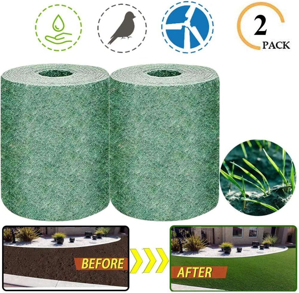 semi di erba del prato