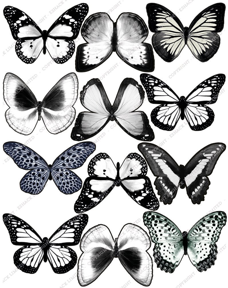 Cakeshop 12 x PRE-CUT White Edible Butterfly Cake Toppers