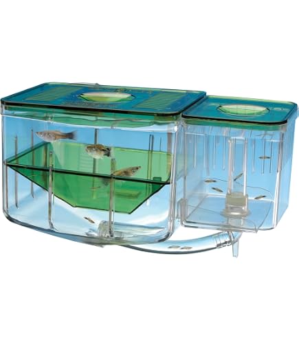 Amazon.com : Reptile Egg Breeding Hatchery Box Incubator Tray