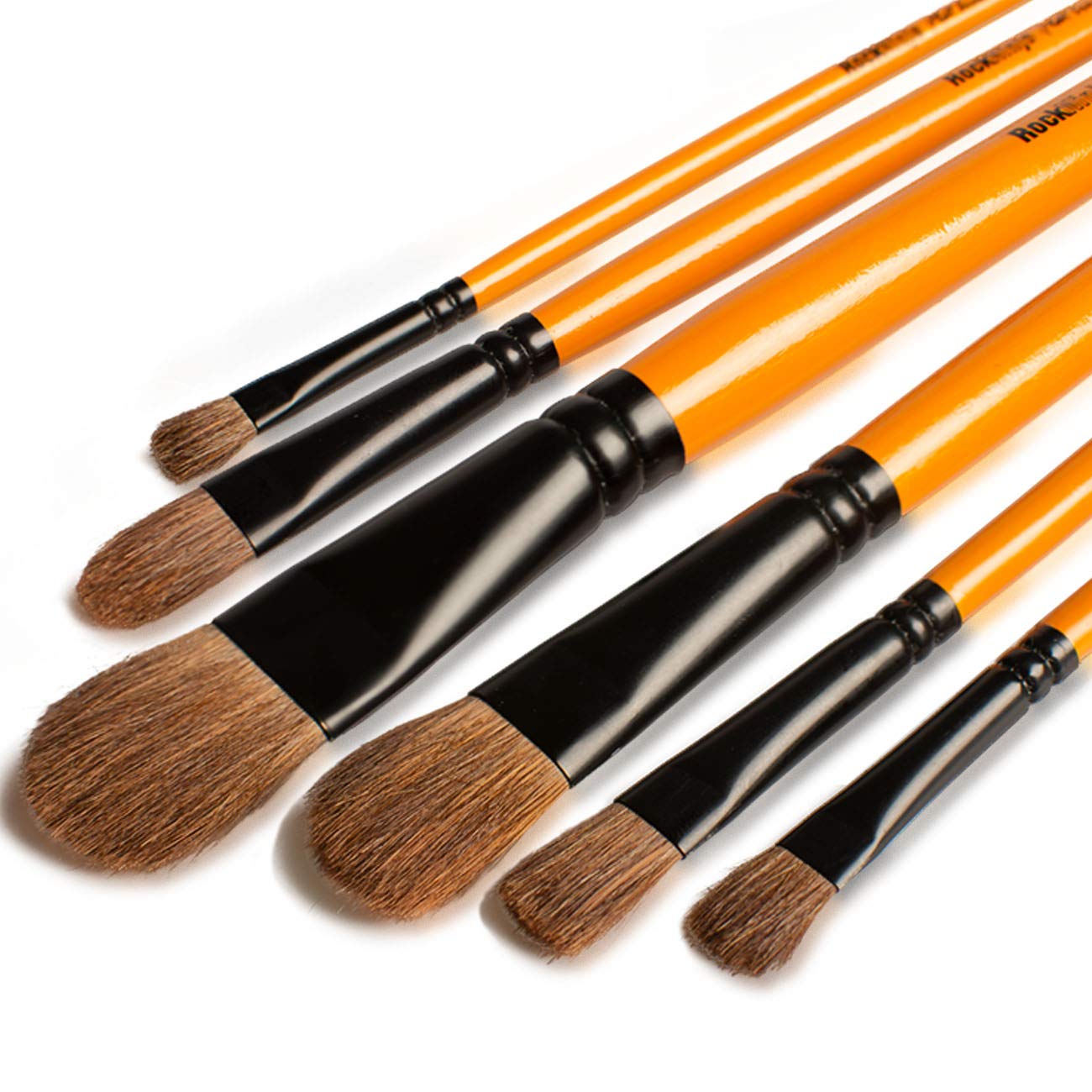Artist Paint Brush Set, Professional Long Handle Nylon Hair Brushes - Ideal Fine Tip Art Brushes for Acrylic, Watercolor, Oil, Creative Body Paint, Decorating and Gouache Painting (6 Pcs Filbert)