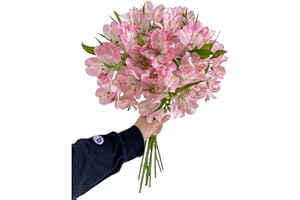 WANGBINYU Affordable 10 Stems Random Color Alstroemeria Fresh Cut Flowers Home Decor Gift Birthday Anniversary Recovery Sympathy Friendship and Love