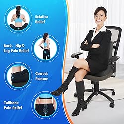 CushZone Seat Cushion, Lumbar Support Pillow with
