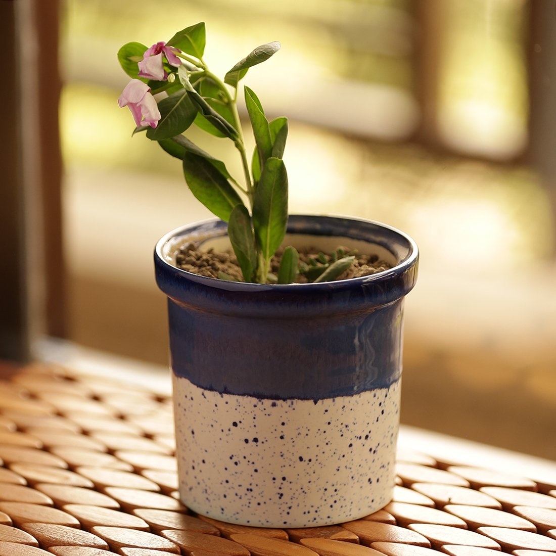 Amazon Com Exclusivelane Dual Galzed Studio Pottery Garden