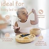 Bubba Bear Baby Bamboo Weaning Set Plates Bowls Spoons with Suction Base view 6