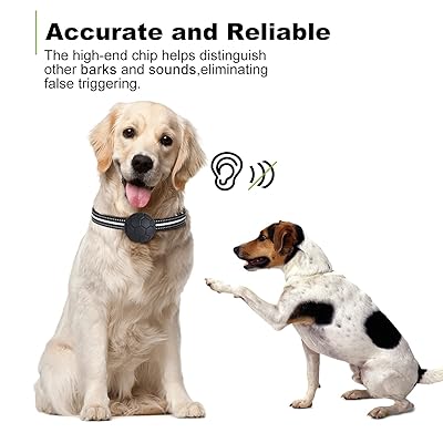 high power dog shock collar