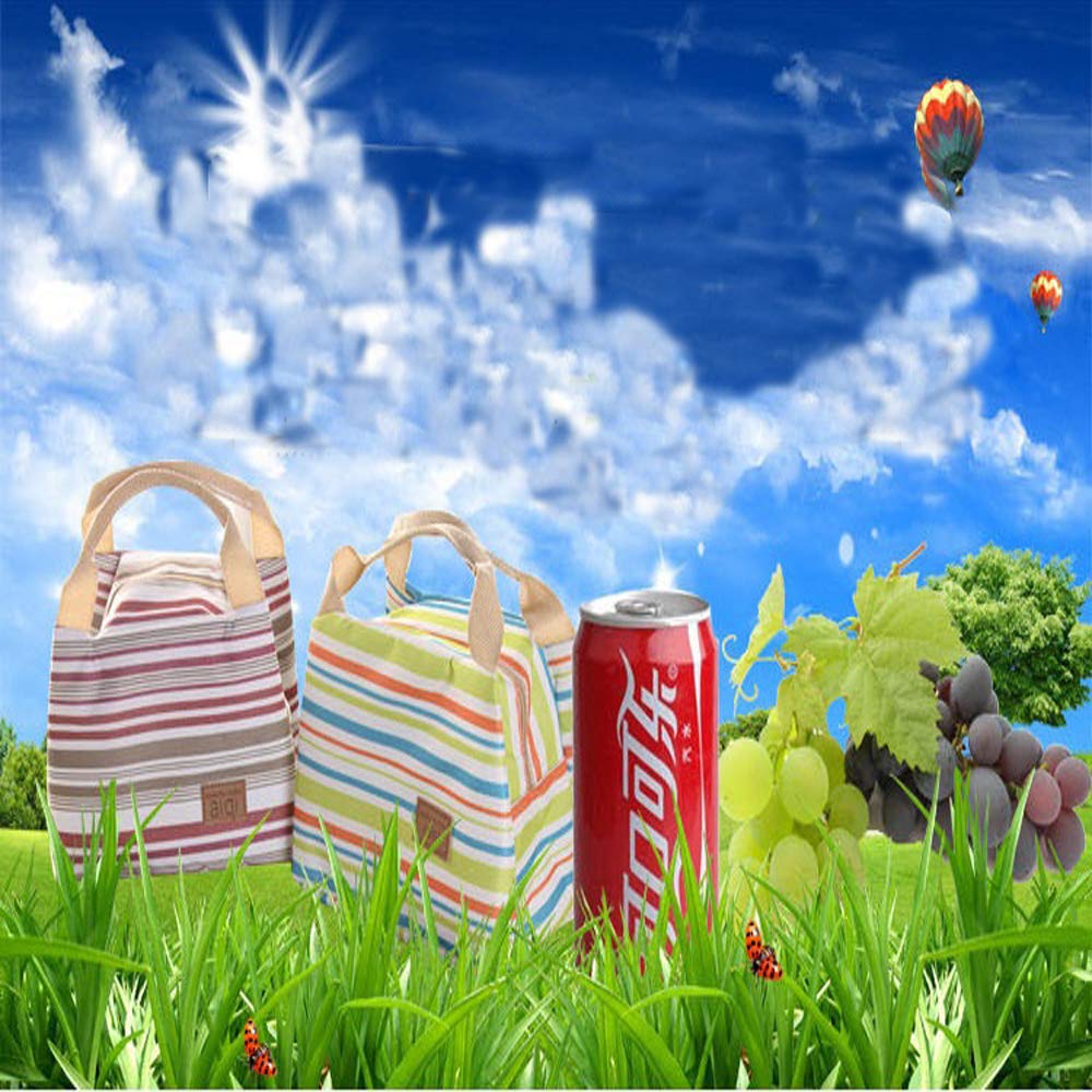 OENEW Lunch Bag for Men Women,Durable Insulated Lunch Bag to Keep Fresh Food for Work/School/Picnic/Beach (Grey)