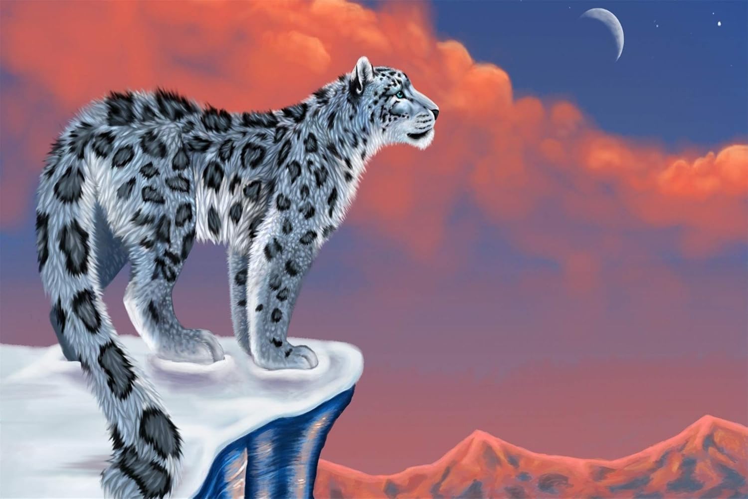 Relax digital canvas 40X50 moon and snow leopard