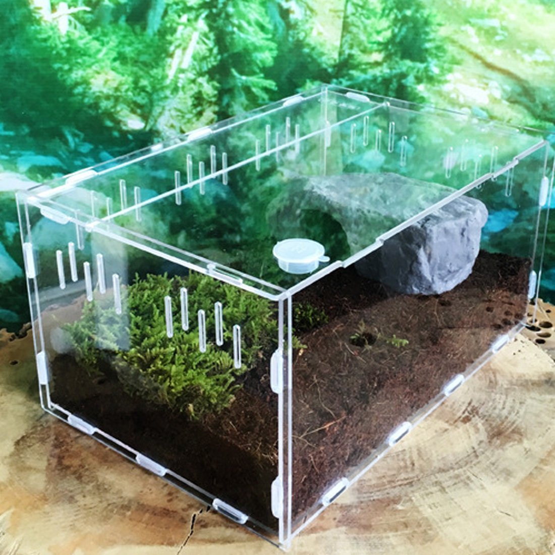 Petforu Aquarium Breeding Tank Acrylic Reptile Feeding Box with