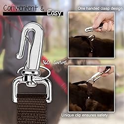 Country Brook Petz - Deluxe Nylon Dog Leash with