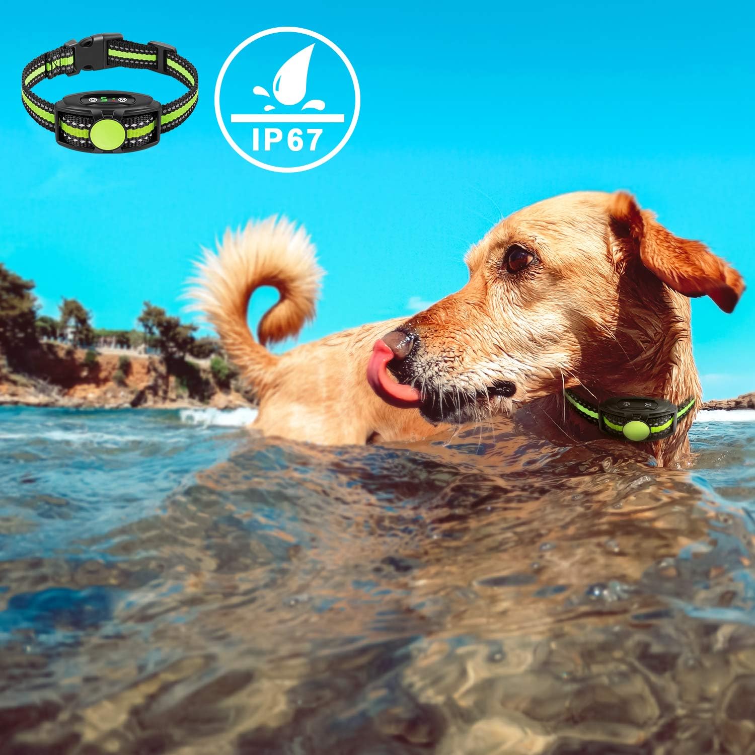 Bark Collar No Shock Bark Collar Rechargeable Bark Collar Shockless with Adjustable Sensitivity and Intensity Beep No Pain Vibration Barking Control Device Bark Collar for Small Medium Large Dogs : Kitchen & Dining