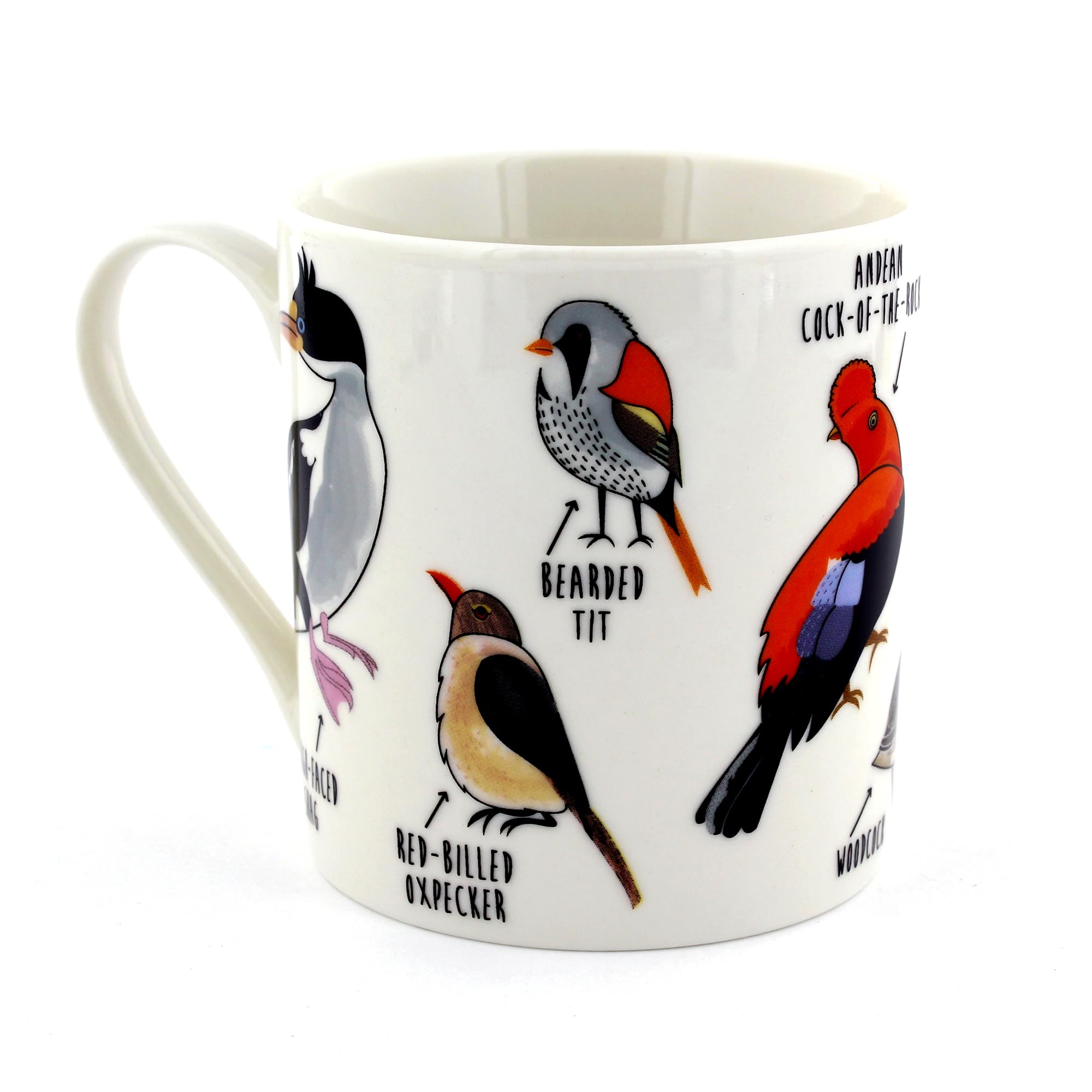 Ginger Fox Fowl Language Bird Novelty Mug Packed With Seemingly Innocent Birds With Rather Foul Names