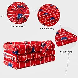 ZonLi Flannel Fleece Throw Blanket Twin Size 60" x