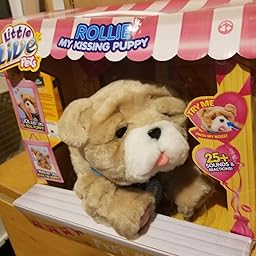 little live pets rollie review