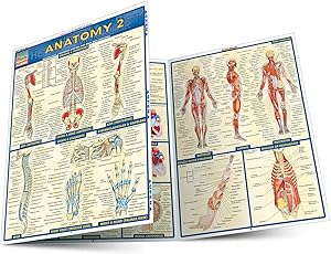 kindle best category lists