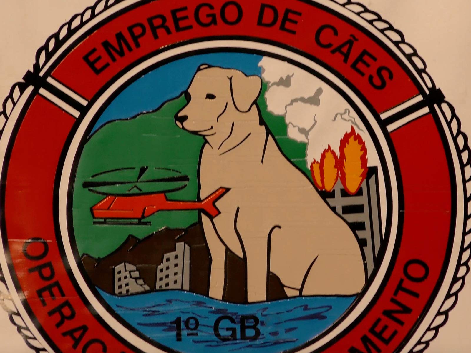 Watch Pet Channel Prime Video