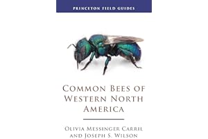Common Bees of Western North America