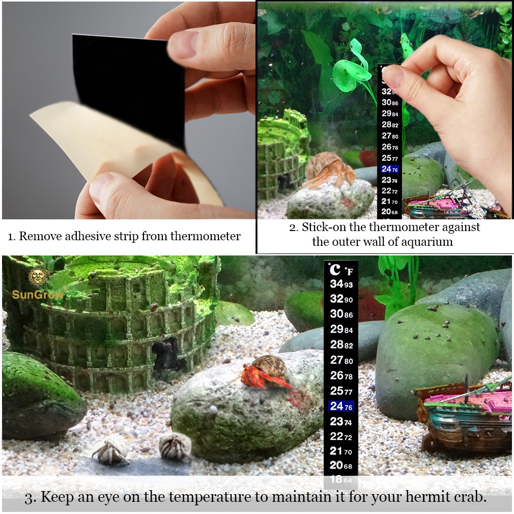 Stick-on Thermometer for Hermit Crabs -- Provide Precise Temperature Measurement - Easy To Use and Install - Helps Keep Crabs Healthy & Live Longer