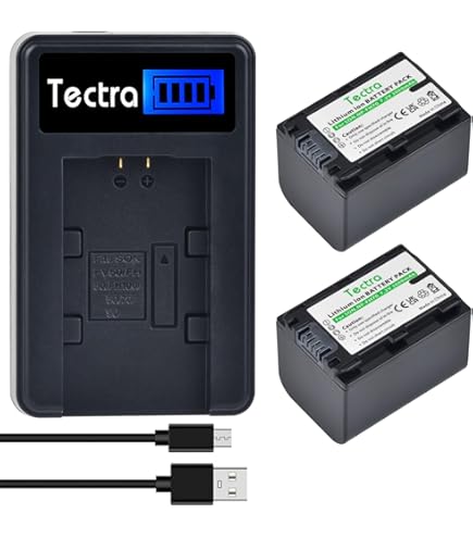 Amazon.com: Kastar NPFH70 Battery (2-Pack) for Sony NP-FH100, FH60