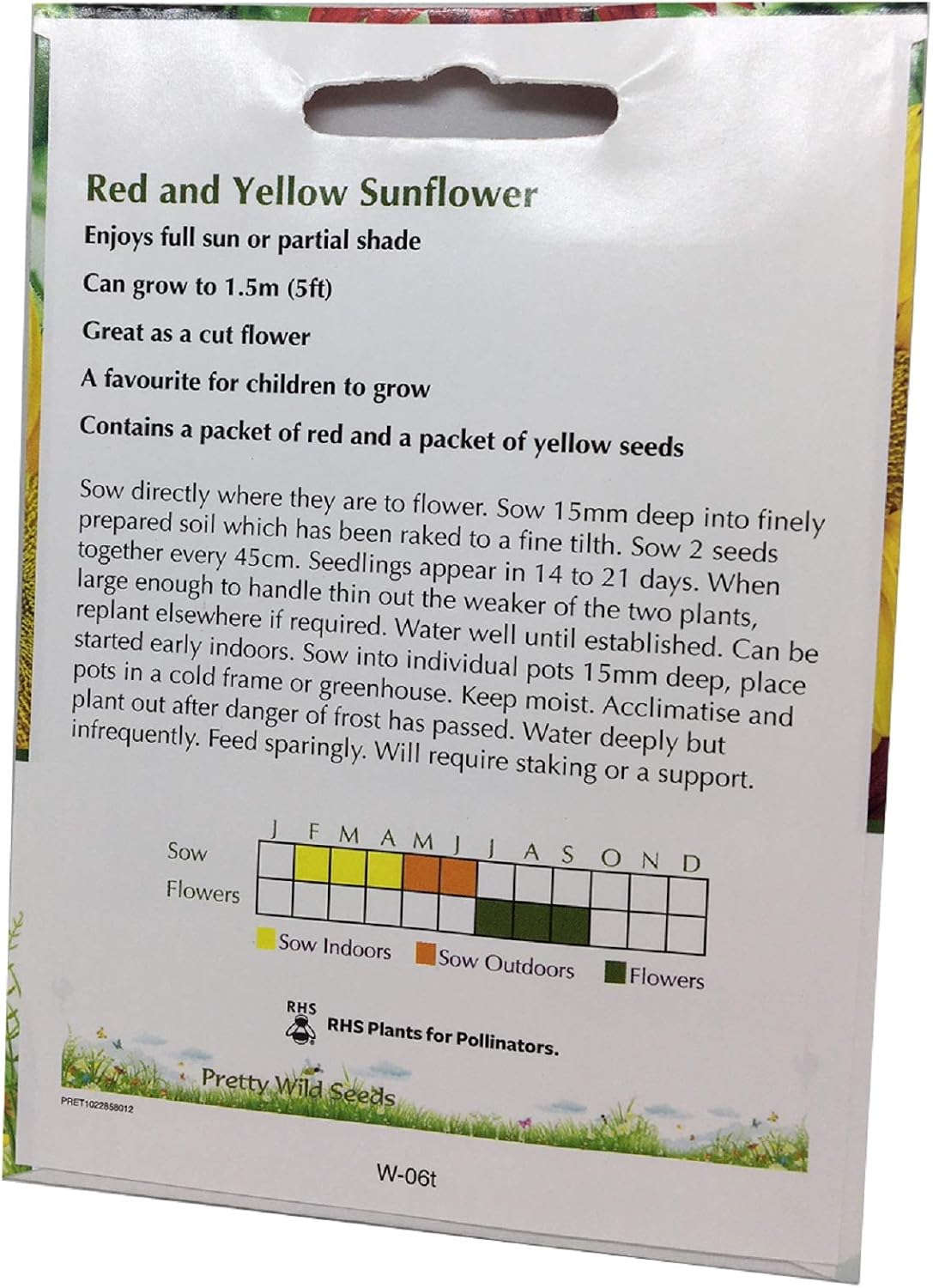30 Red Sunflower Seeds Plus 30 Giant Yellow Seeds Flower Seeds by Pretty Wild Seeds Fresh UK Seeds 1 Packet of Each - Image 3