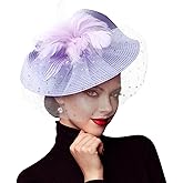 DRESHOW Fascinators Hat Flower Mesh Feathers Hat with a Headband and a Clip 7.9" Tea Party Headwear for Women