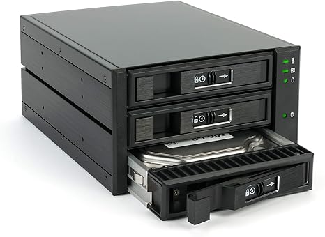 Fantec BP-T2131 - Caja de Almacenamiento SAS y SATA para 3 Discos ...