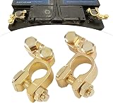 Techfection Car Battery Connectors Leisure Terminals Clamps Set