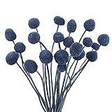CISDUEO 20 Pcs Dried Flowers Craspedia Billy Balls