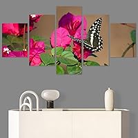 SIGNWIN 5 Panel Canvas Wall Art Birds Butterfly Closeup Colorful Contemporary Home Office Modern Art Multicolor Photography for Home Decorations Ready to Hang - 60