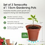 Whitefurze Basic Plant Pots 15cm Set of 3 Indoor Outdoor Polypropylene view 2