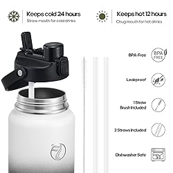 Insulated Water Bottle with 2-in-1 Lid