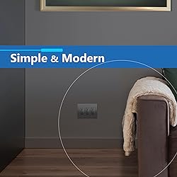 LIDER Matte Finish Decorator Switch