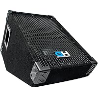 best stage wedge monitors