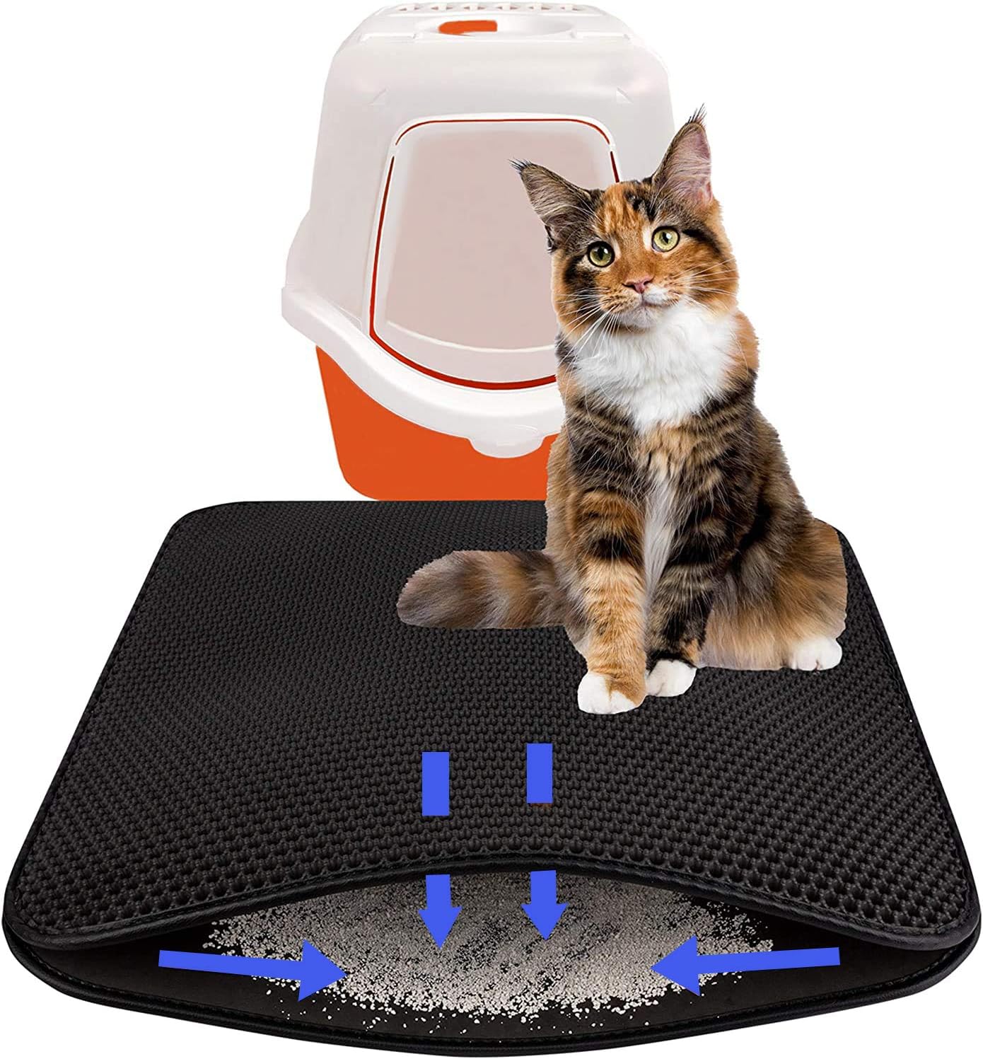 cat ocd litter box