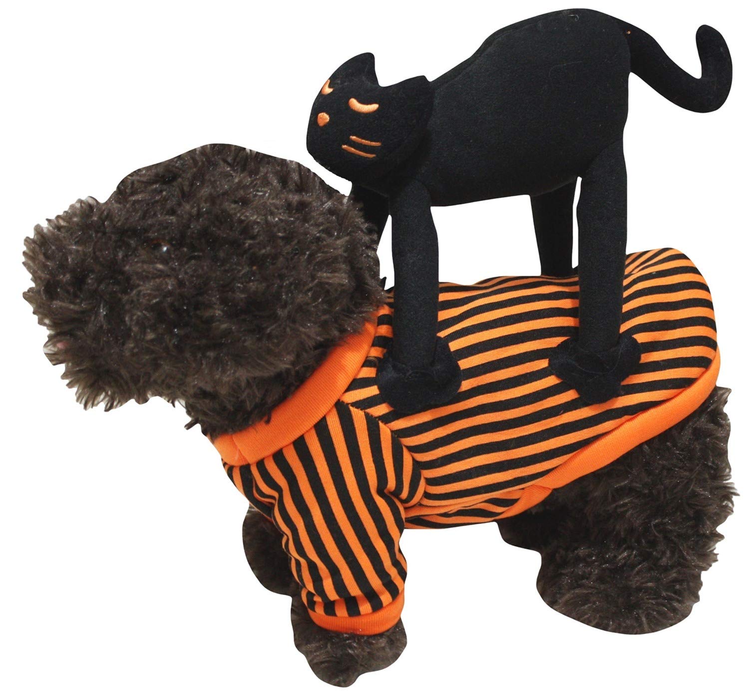 Petitebelle Halloween Theme Pet Costume (Black Cat, Large)