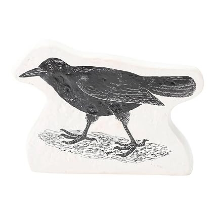 Amazon Com Floor 9 Raven Ceramic Halloween Decor Home Kitchen