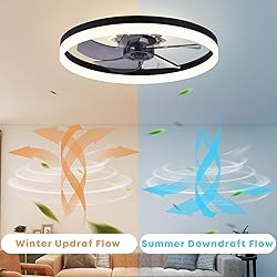 Fszdorj 23.6'' Ceiling Fan with Light, Upgraded Low