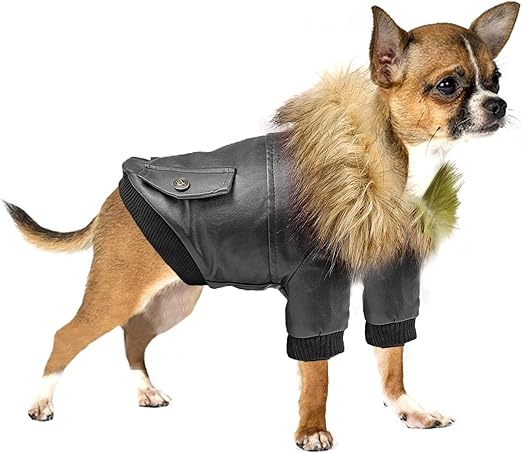 pets at home puppy coats