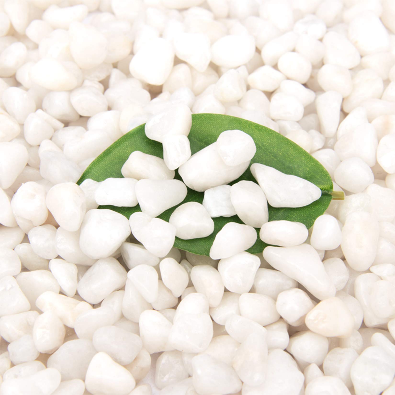 Photo 1 of [18 Pounds] White Pebbles Aquarium Gravel River Rock,Natural Polished Decorative Gravel,Garden Ornamental Pebbles Rocks,White Stones,Polished Gravel for Landscaping Vase Fillers White Mini (White)