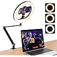 USB 10' Ring Light for Desk with Stand and Phone Holder, Ring Light with Overhead Camera Mount and Adjustable Desk Arm Stand for Photography,Makeup, Zoom Calls, YouTube Videos（Black）