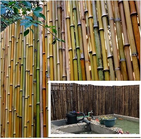 LJIANW Pantalla para Balcón Cerca De Jardín Pantalla De Rollo A Prueba