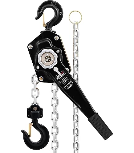 CM 5628A Steel Hurricane Hand Chain Hoist with Hook Mounted, 2000
