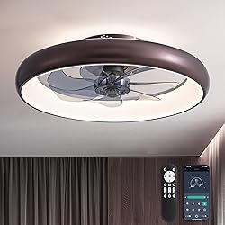 LUDOMIDE Ceiling Fan with Lights and