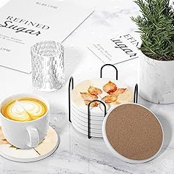 Fall Drink Absorbent Coasters with Holder Set of