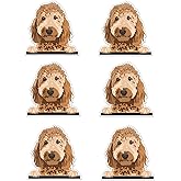 RM Dream Designs Pack of 6-2'' Stickers - Golden Doodle Sticker - Laptop Sticker - Waterproof Vinyl for Car Phone Water Bottle - Golden Doodle Dog Decal - Sticker Graphic Decal