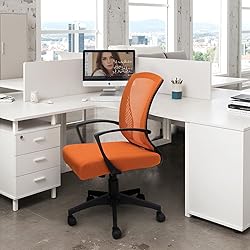 Furmax Office Chair Mid Back Swivel Lumbar Support